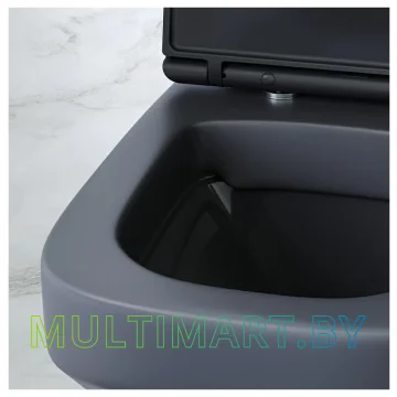 Унитаз AM.PM Inspire C50A1700MBSC картинка 9